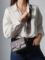 Xs Crossbody Bag Altesse Leather Etrier Violet altesse EALT048X-vue-porte