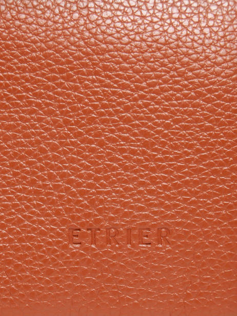 Housse Ordinateur Flandres Pc 15'' Cuir Etrier Orange flandres EFLA8835 vue secondaire 4